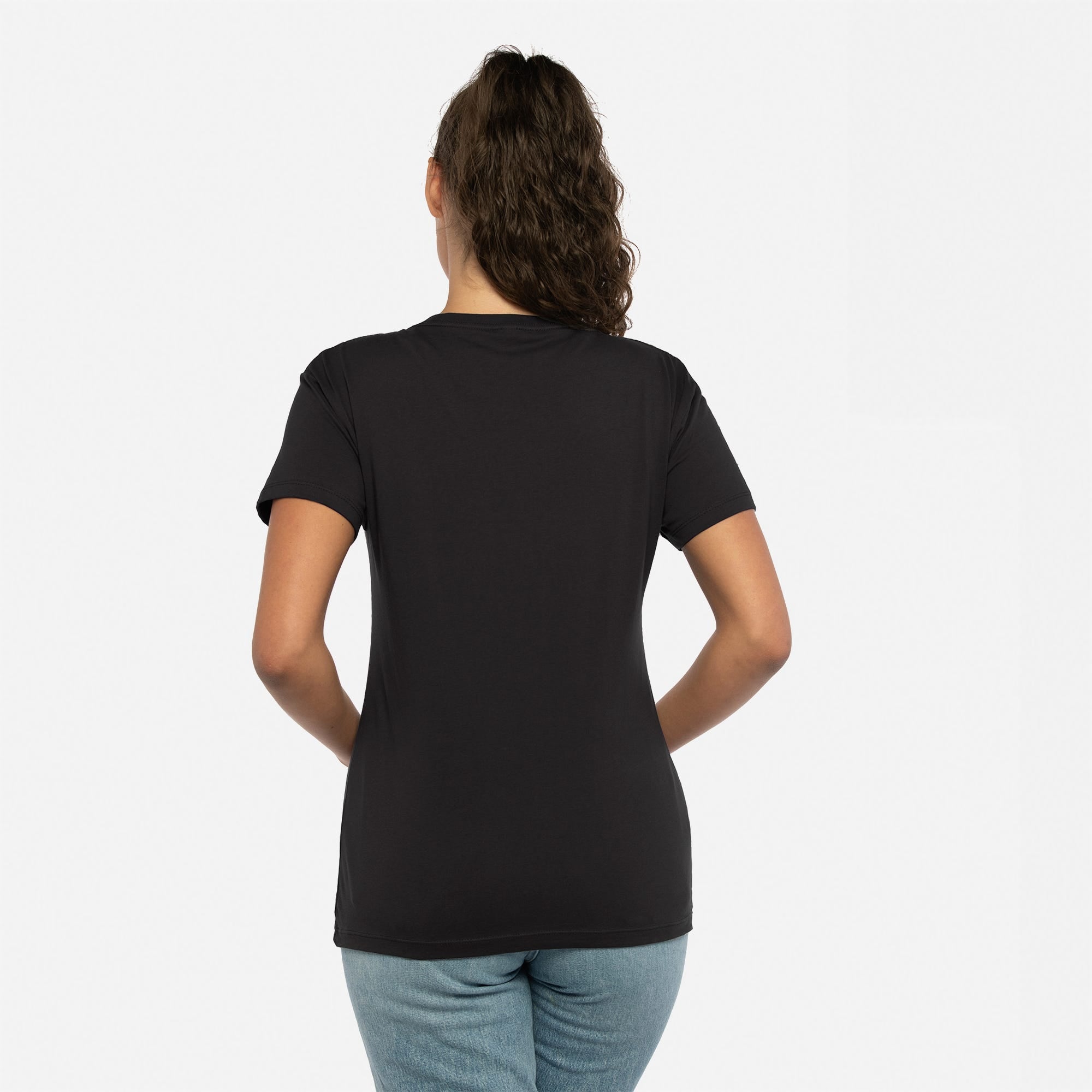 Cotton V-Neck T-Shirt Black 3940 Next Level Apparel Back View